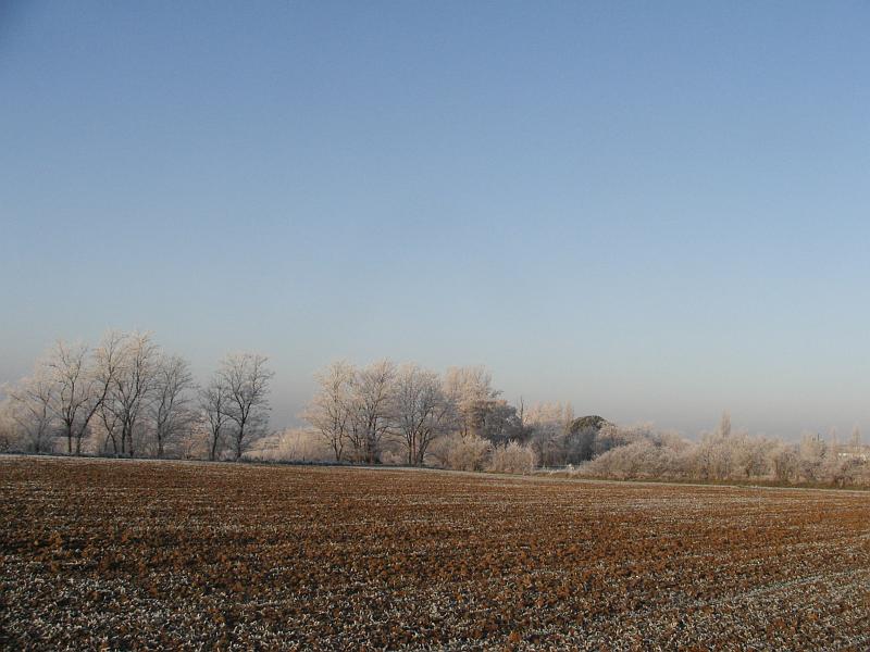 KIF_3271.JPG - Givre sur la plaine de l'Hers.