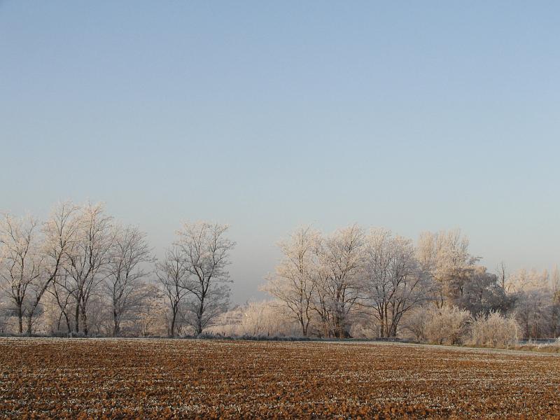 KIF_3273.JPG - Paysage d'hiver.